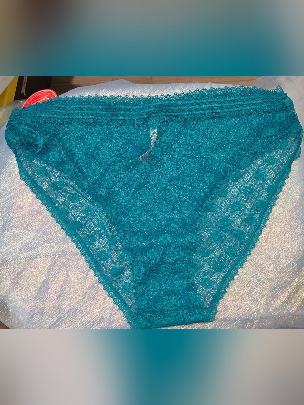 NWT 4X Teal Lace Bikini Briefs - Picture 2 of 2